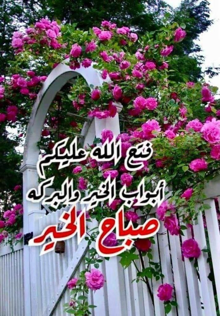 Mohsen Elfouly (@mohsenelfoly4) on Twitter photo 