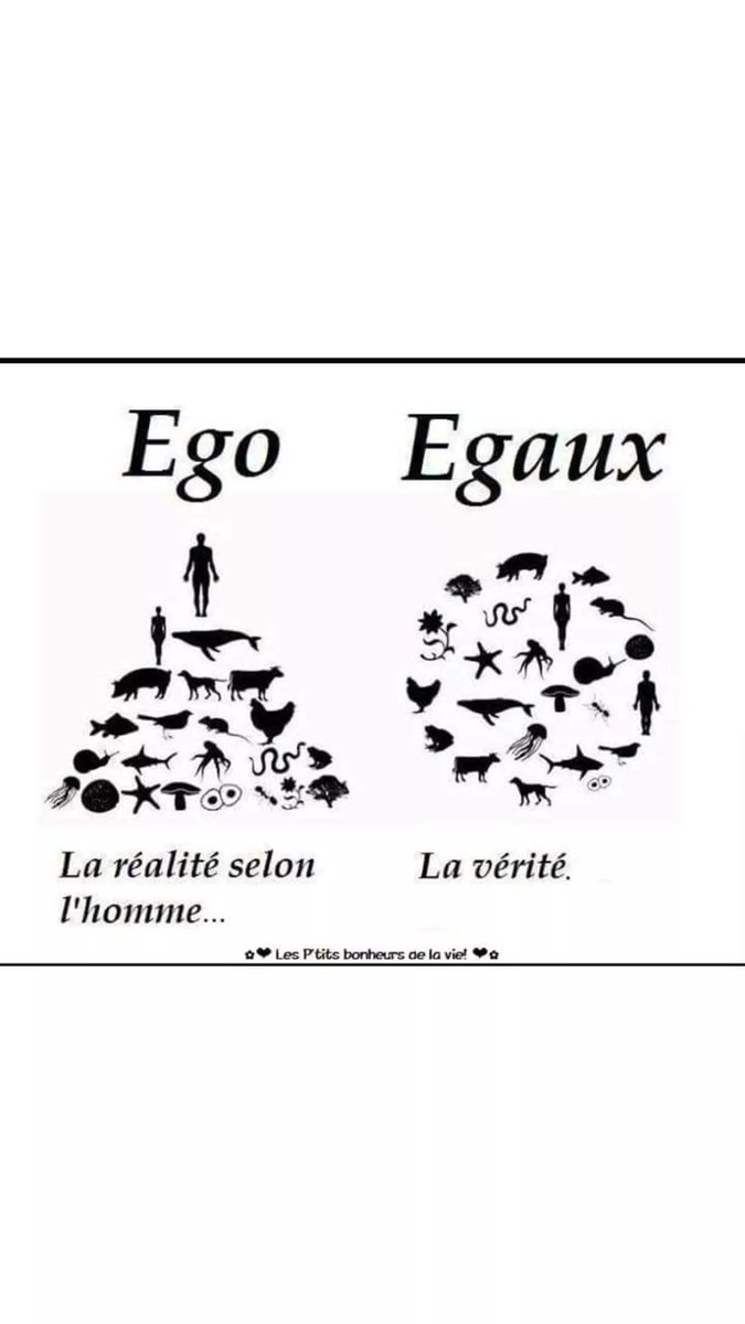 <a href="/NounouJL/">Nounou JL</a> <a href="/vivi7244/">Virginie🌹🇫🇷</a> <a href="/gregos73100/">Greg07160</a> <a href="/66Jeafra/">jea</a> <a href="/klingerlydie/">klinger</a> <a href="/driat3/">jean-louis</a> <a href="/maria_andy2/">MARIA ANDY</a> <a href="/SANDROANDRINE/">Sandrine Andro 📱💻🤹‍♀️☕️</a> <a href="/RSCLdaniel/">fandanne.rscl</a> <a href="/Melodie68/">❤ Melodie68 ...ツ🌸🔆🕊️</a> <a href="/Marfamar/">Marazul #YOLOSÉ</a> Belle journée bisous
