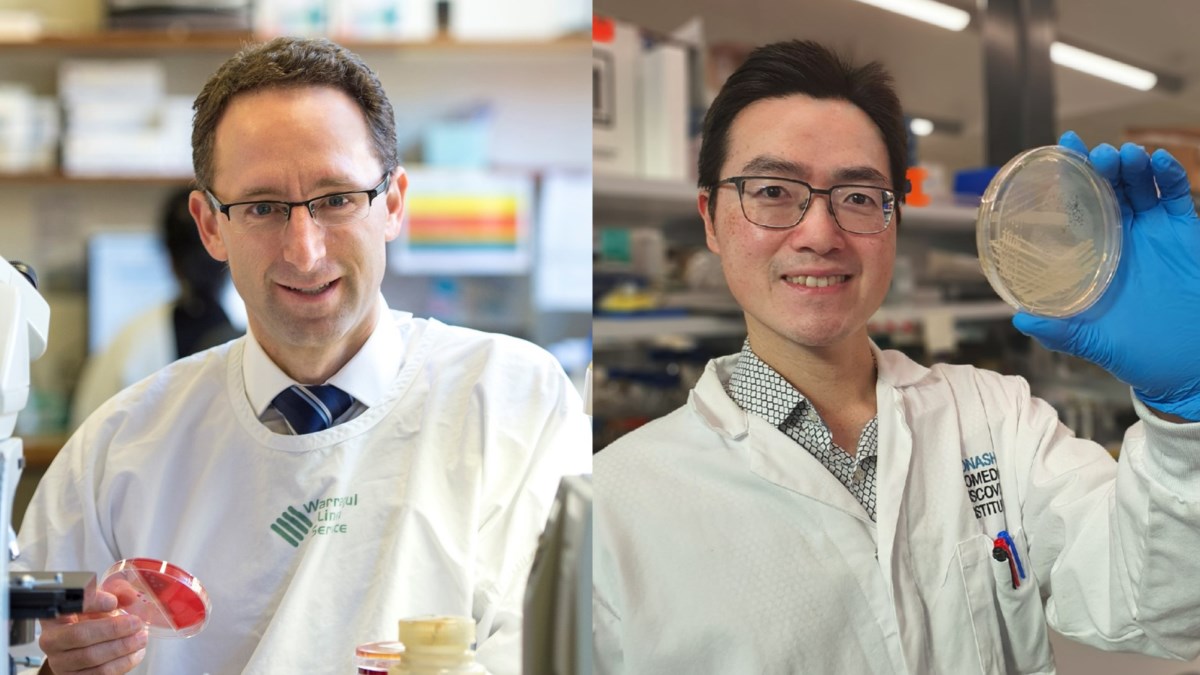 Monash Biomedicine Discovery Institute (@monashbdi) on Twitter photo <a href="/MonashUni/">Monash University</a> researchers led by Dr <a href="/JhihHang/">Jhih-Hang Jiang</a> & Prof <a href="/AntonPeleg/">Anton Peleg</a> received $450K to look for new antibiotics to fight Methicillin-resistant Staphylococcus aureus #MRSA. The team will test 300K compounds with ultra-high throughput screening @wehi_research #NDDC bit.ly/3Kr7J7d <a href="/MonashUni/">Monash University</a> researchers led by Dr <a href="/JhihHang/">Jhih-Hang Jiang</a> & Prof <a href="/AntonPeleg/">Anton Peleg</a> received $450K to look for new antibiotics to fight Methicillin-resistant Staphylococcus aureus #MRSA. The team will test 300K compounds with ultra-high throughput screening @wehi_research #NDDC bit.ly/3Kr7J7d