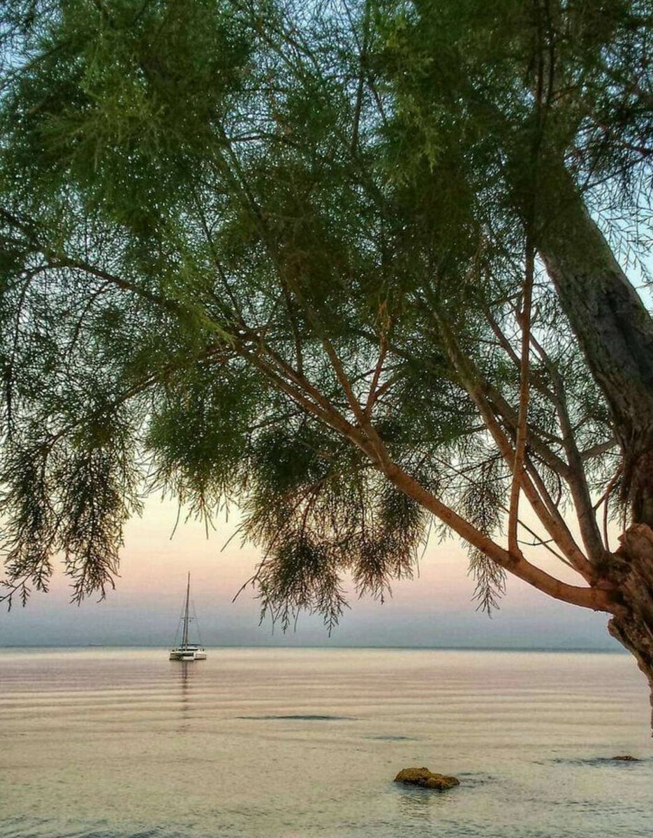 Όλα φυλακίζονται, εκτός από τη σκέψη και την ψυχή που πάντα δραπετεύουν. Καλημέρα κόσμε..