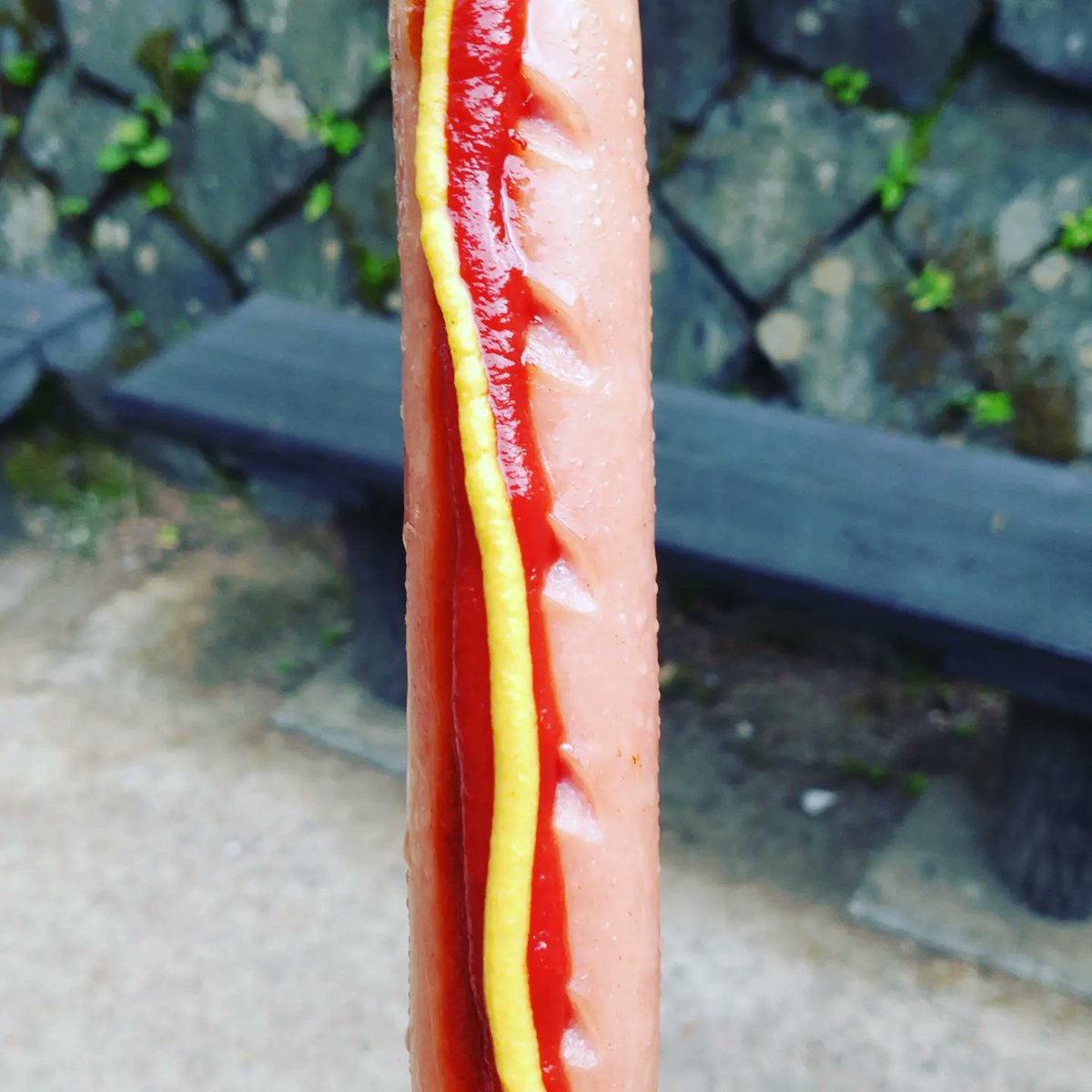 White_Library_M's tweet image. GWに高尾山に登ったのですが、あの時に食べた山頂のフランクフルトは美味しかったのです✨
特別な材料や味付けではありませんが、山頂まで歩いた疲労と空腹感が何よりのスパイスなのです🙌

#高尾山 #登山 #ハイキング #フランクフルト #空腹が一番のスパイス