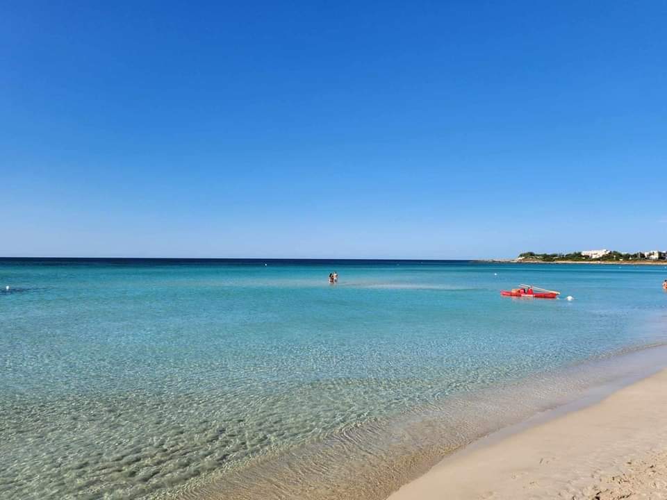 nandopaglia64's tweet photo. #buongiorno #salento #Puglia #vacanze #mare #Agosto2023 #BuongiornoATutti #puntaprosciutto https://t.co/sMeWzMMPBG