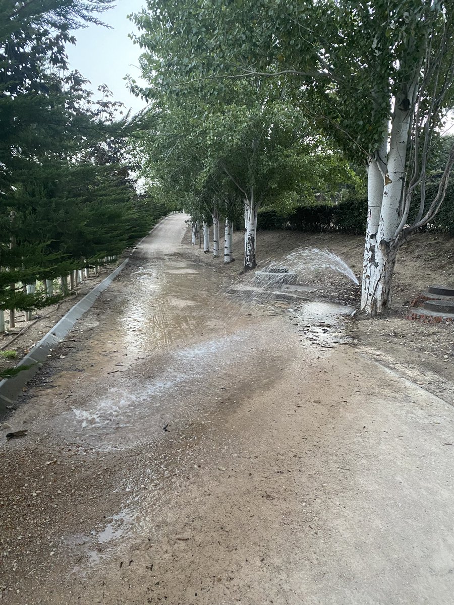 MrgaCadavid's tweet photo. @Lineamadrid rotura tubería de riego en parque Alcalde Jesus Pérez Quijano de valdebernardo junto a M40 https://t.co/VUcQRjwxKS