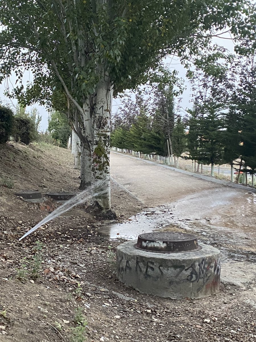 MrgaCadavid's tweet photo. @Lineamadrid rotura tubería de riego en parque Alcalde Jesus Pérez Quijano de valdebernardo junto a M40 https://t.co/VUcQRjwxKS