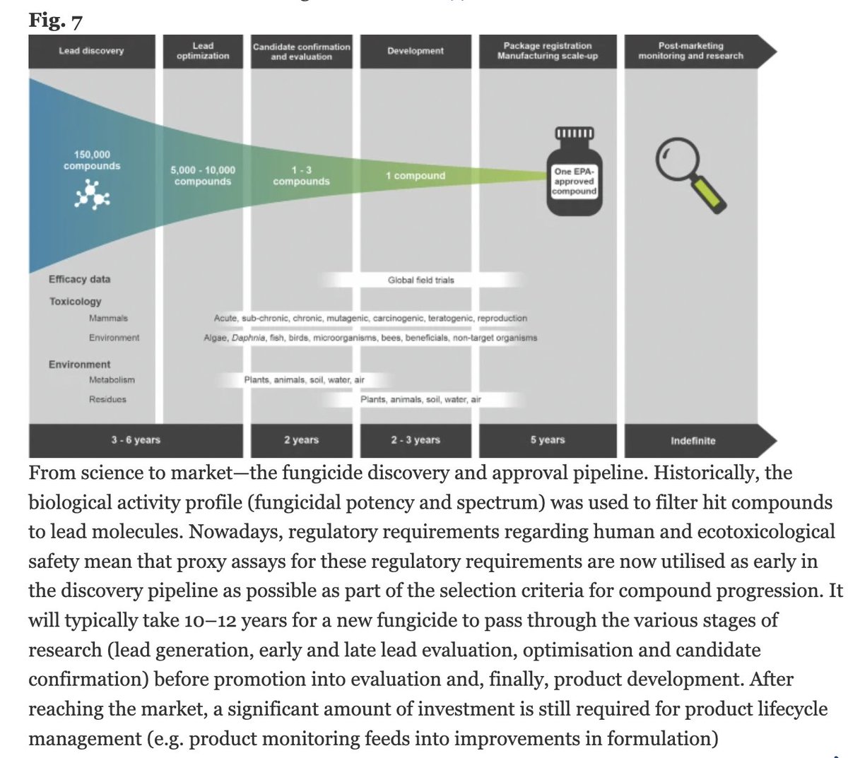 Fee🐭🦖 tweet media