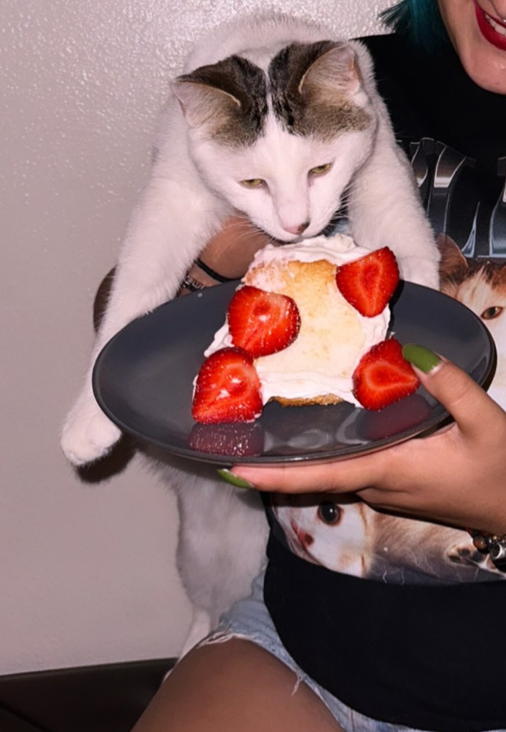 killdatpussy420's tweet photo. it’s my birfday guys ^~^ https://t.co/Tmqx8j2q9s