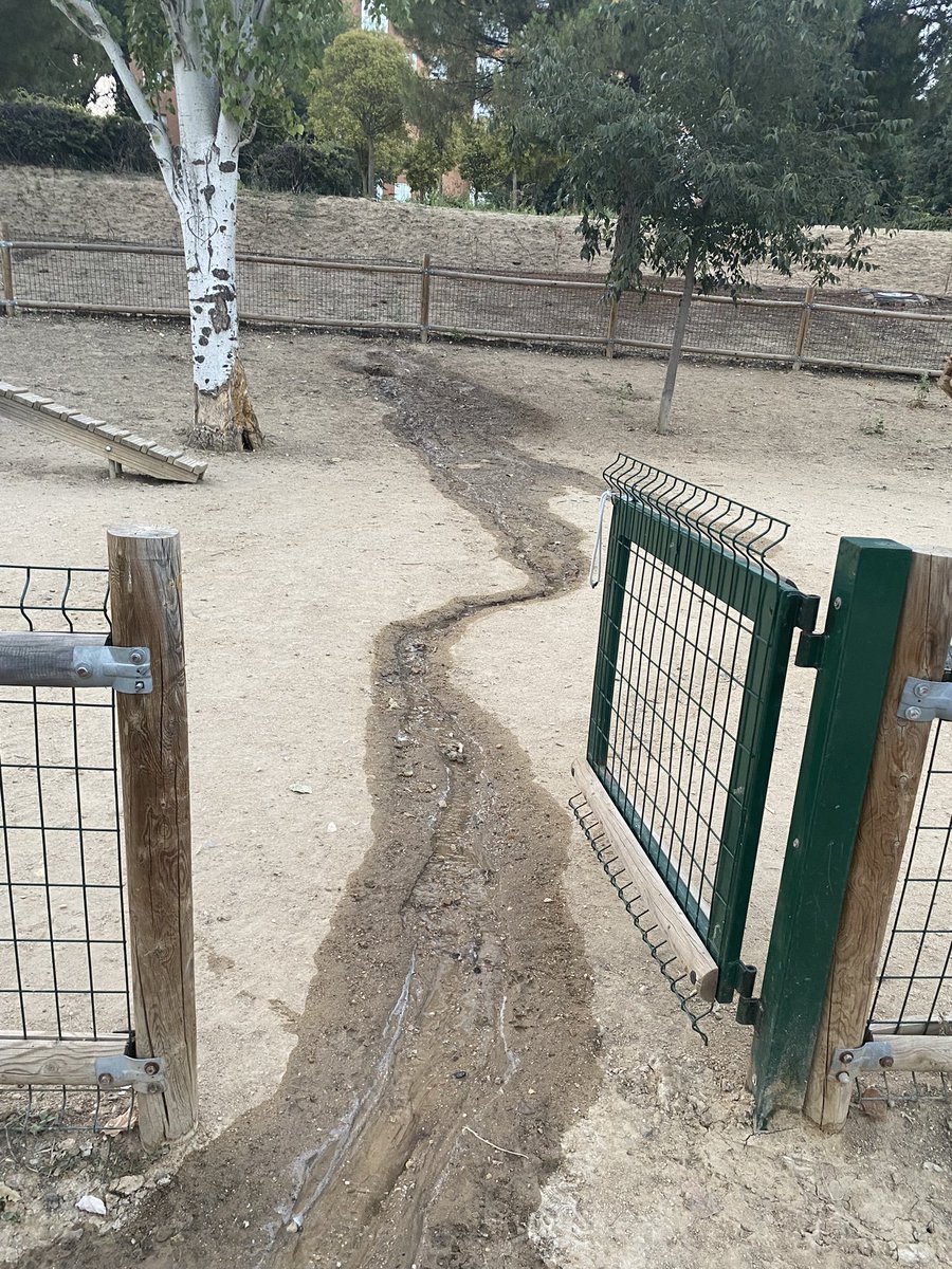 MrgaCadavid's tweet photo. @Lineamadrid escape de agua de riego en parque alcalde jesus Pérez Quijano en el Area canina https://t.co/37sIKa6R1U