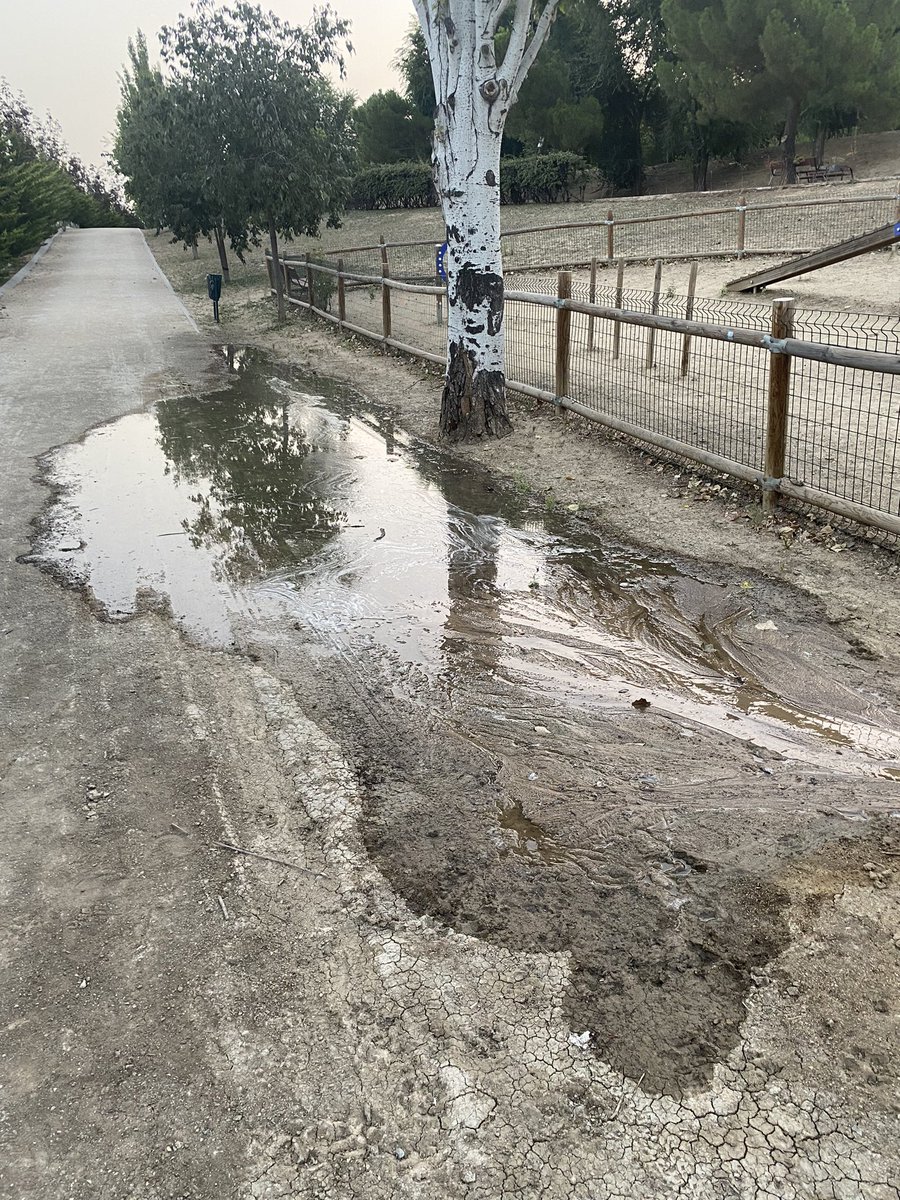 MrgaCadavid's tweet photo. @Lineamadrid escape de agua de riego en parque alcalde jesus Pérez Quijano en el Area canina https://t.co/37sIKa6R1U