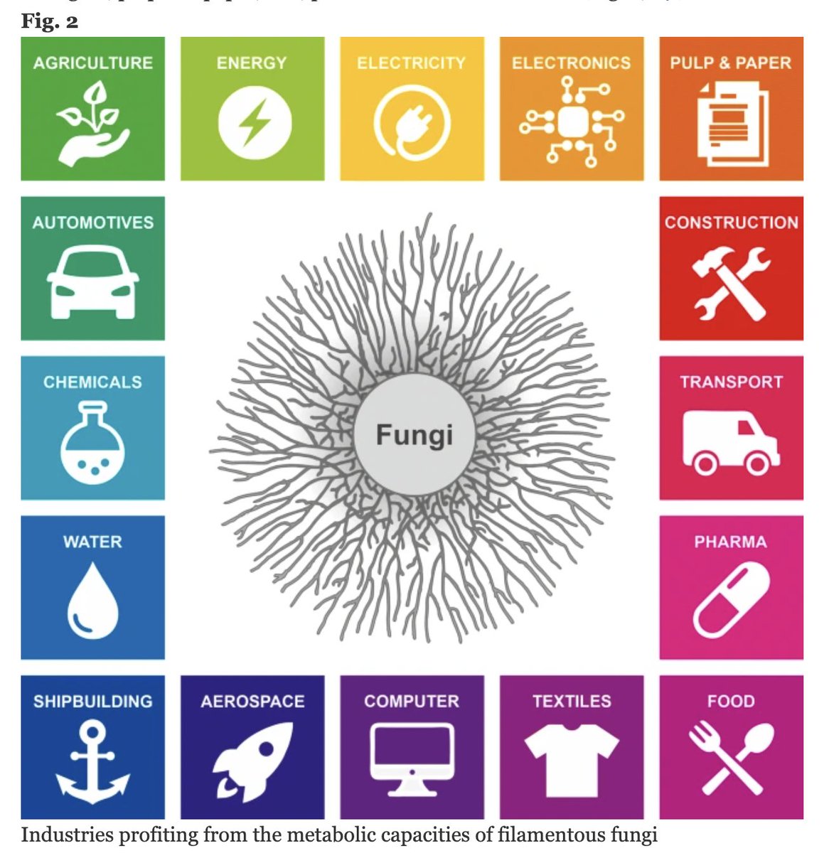 Fee🐭🦖 tweet media