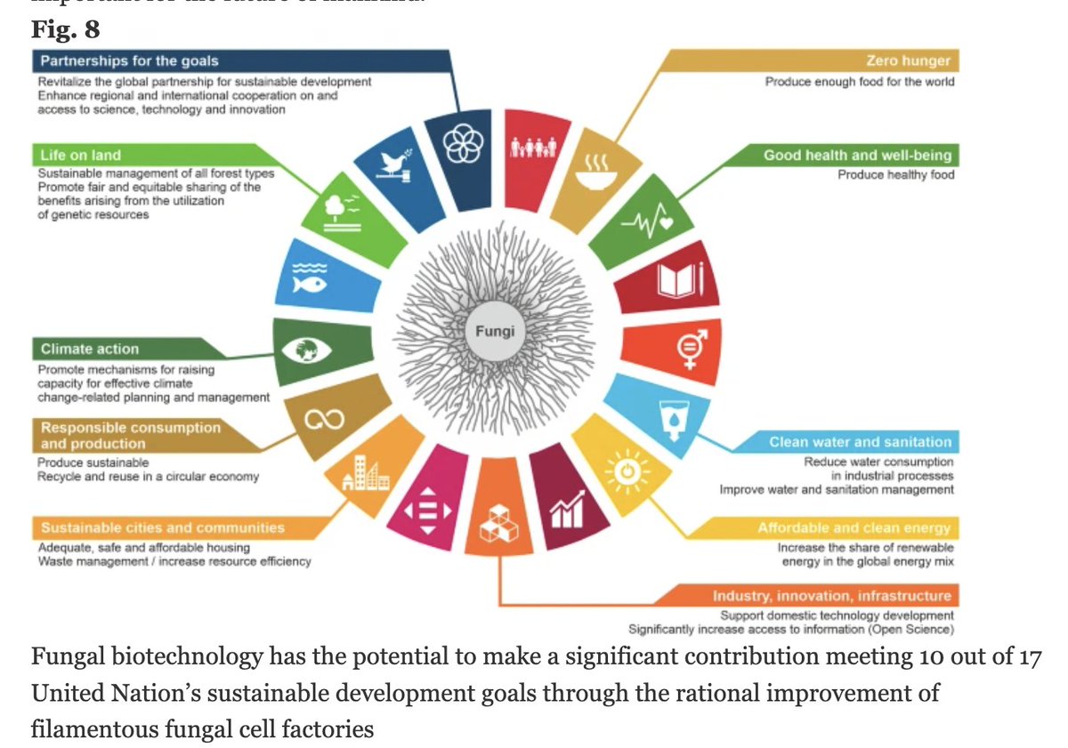 Fee🐭🦖 tweet media