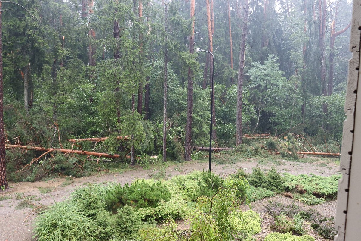 breakinglv's tweet photo. 🇱🇻 Vētras postījumi Tērvetē.
📸 Latvijas valsts mežu dabas parks Tērvetē
#Tērvete #Dobele #Latvija https://t.co/juc0K6iOok