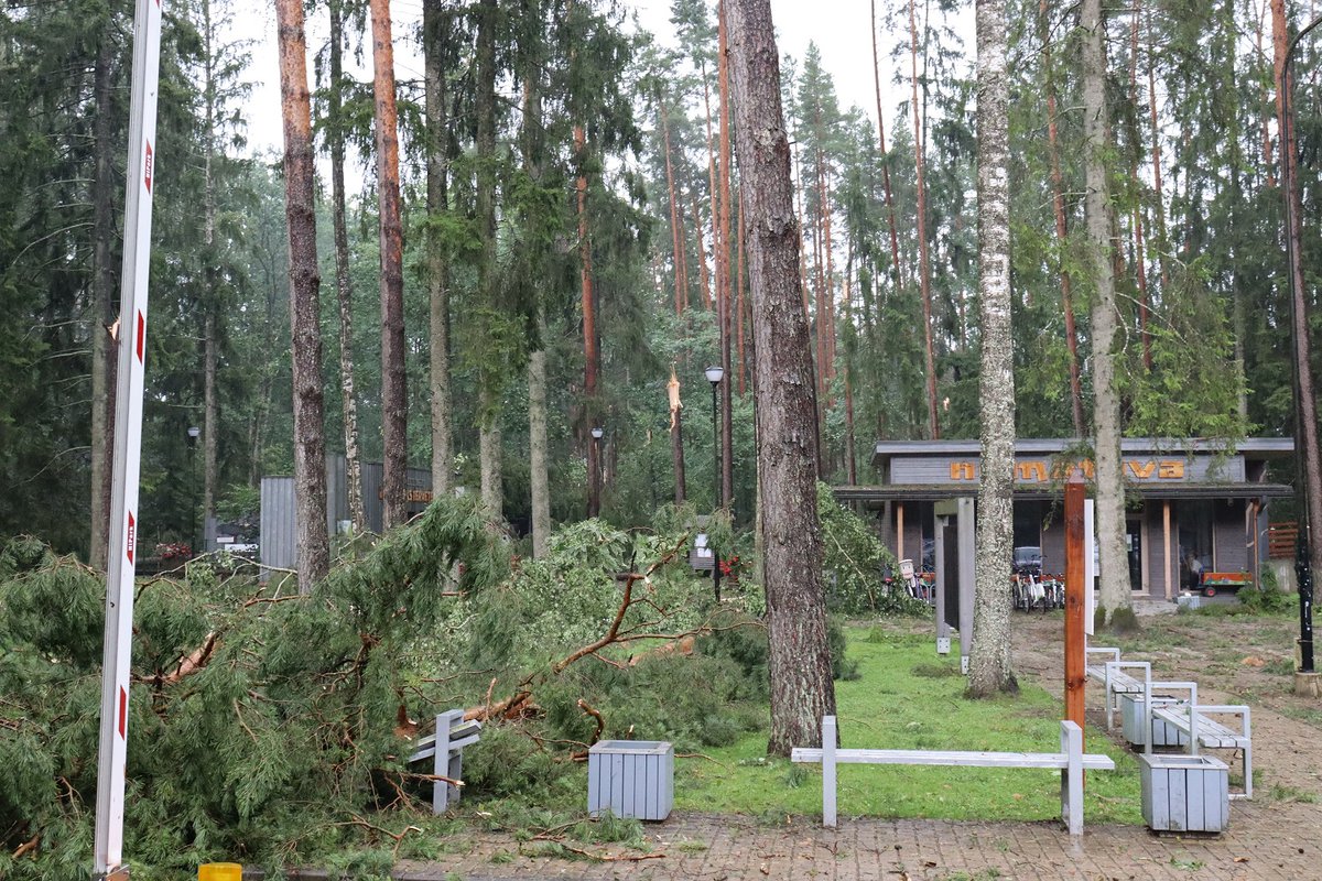 breakinglv's tweet photo. 🇱🇻 Vētras postījumi Tērvetē.
📸 Latvijas valsts mežu dabas parks Tērvetē
#Tērvete #Dobele #Latvija https://t.co/juc0K6iOok