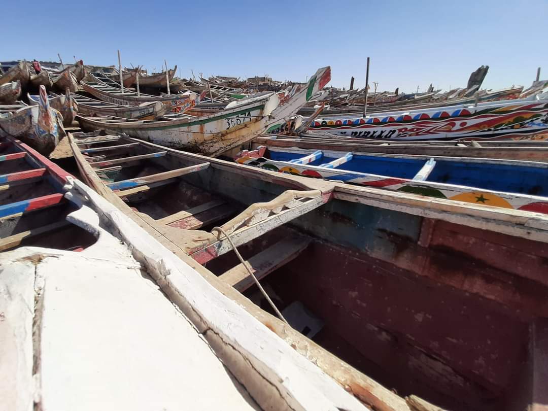 HotelInsonmia's tweet photo. La pesca en #Maputo2023 está controlada desde hace diez años, cuando muchas especies comenzaron a desaparecer. Ahora sólo se pesca tres meses, pero las capturas son mayores que antes todo el año. El 50% de las proteínas que se consumen en #Mozambique2023 proviene del pescado... https://t.co/ruZo12U1O7
