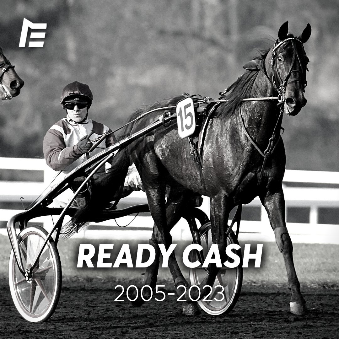 equidia's tweet image. Ready Cash s'est éteint...

Le Haras de Bouttemont a annoncé ce matin que leur champion avait succombé à une crise de coliques dans la nuit du 8 au 9 août.

Une des légendes de notre sport vient de disparaître...