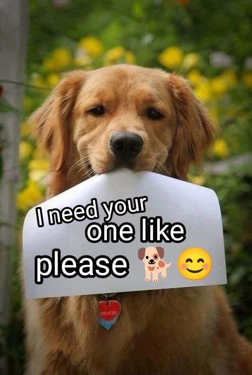 Sarah_sam5's tweet photo. https://t.co/w9w945utn3