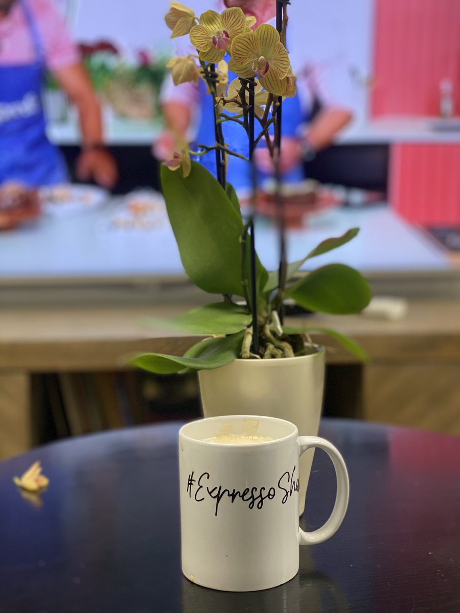 LesegoSigns's tweet photo. Tune in 📺 ♥️ https://t.co/YwRyvRPMpV