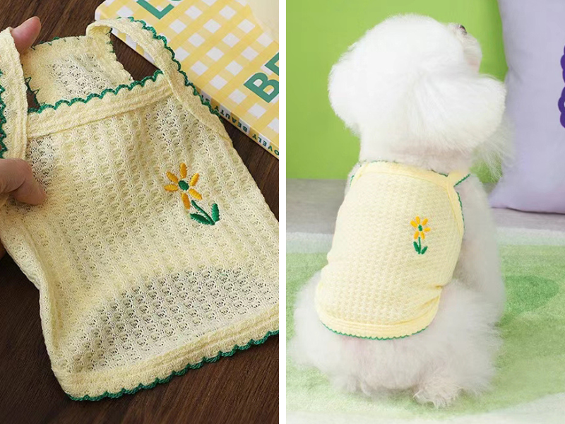 LydiaFu11's tweet photo. so cute! My dog will fit perfectly in it too🐕
#dog #clothes #summer #facial #fashion #outfit https://t.co/6zo3k8OoO5
