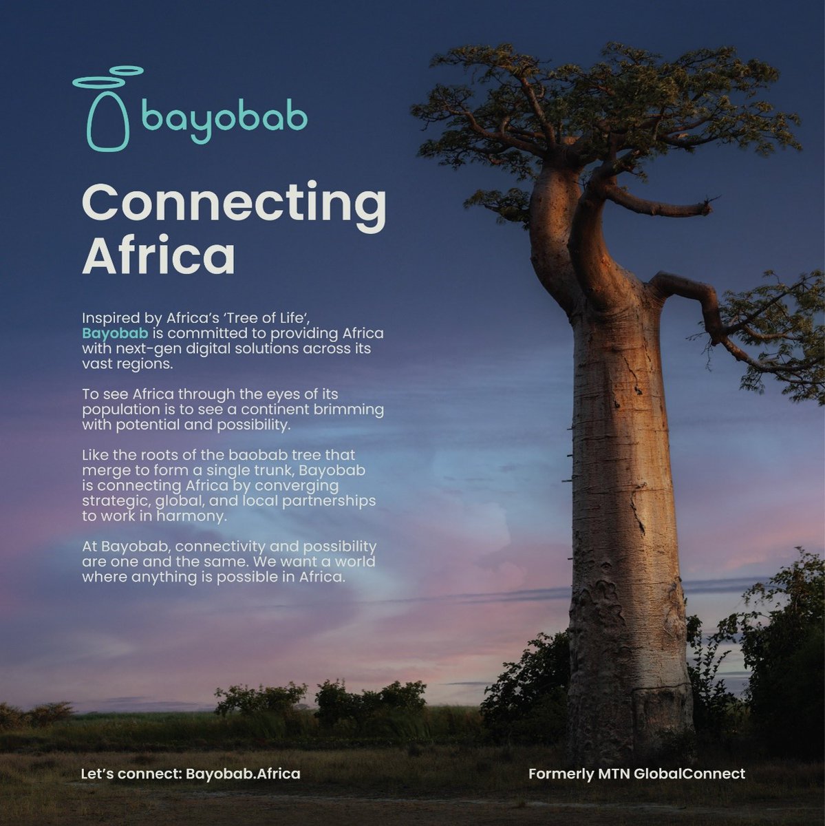 Just like the mighty Baobab tree, which links its branches and roots to create a robust network, connectivity is the key to success in our modern world! 📷📷. Learn more about our mission-> bayobab.africa