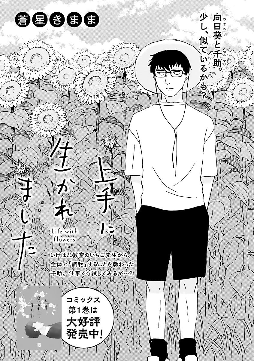 夏様ご確認ページ 確定
