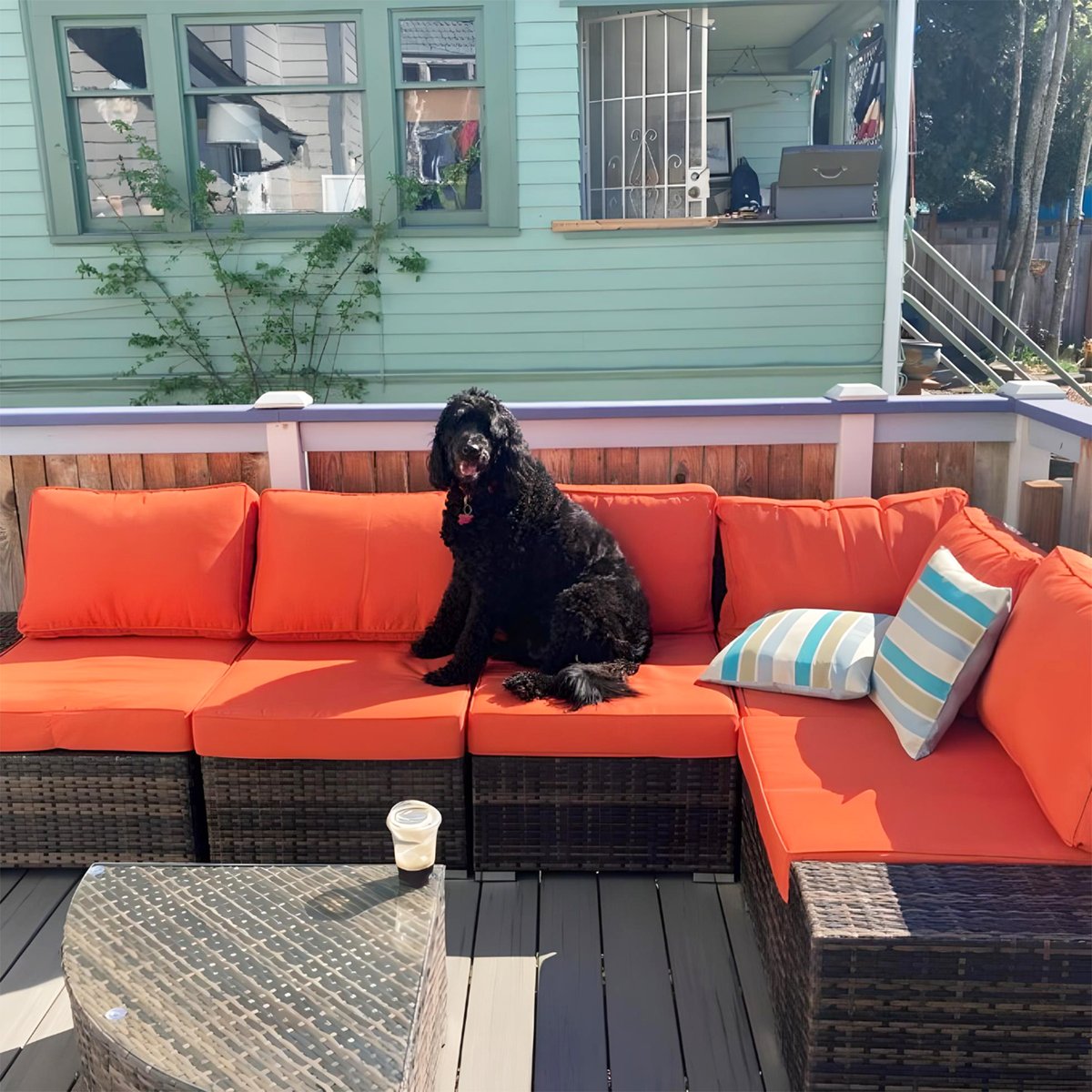 Heynemo_Store's tweet photo. This dog seems to be loving the outdoor sofa just as much! Enjoying the perfect blend of comfort and nature. ☀️🐾
#heynemo
.
.
.
.
.
#outdoorspace #outdoorfurniture #outdoorfurnituredesign #patioseason #sofaset #patiolife #outdoordecorating #outdoordesign #furnituremurah https://t.co/nPWSnwCPpD