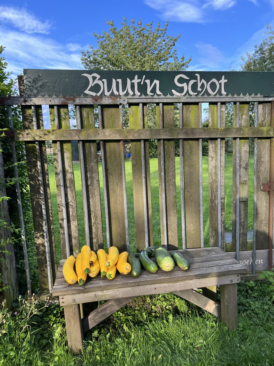 konvliek's tweet photo. Wandelen rondom Groenlo
#gourgettes #gratis #achterhoek https://t.co/VEydsNdWx1