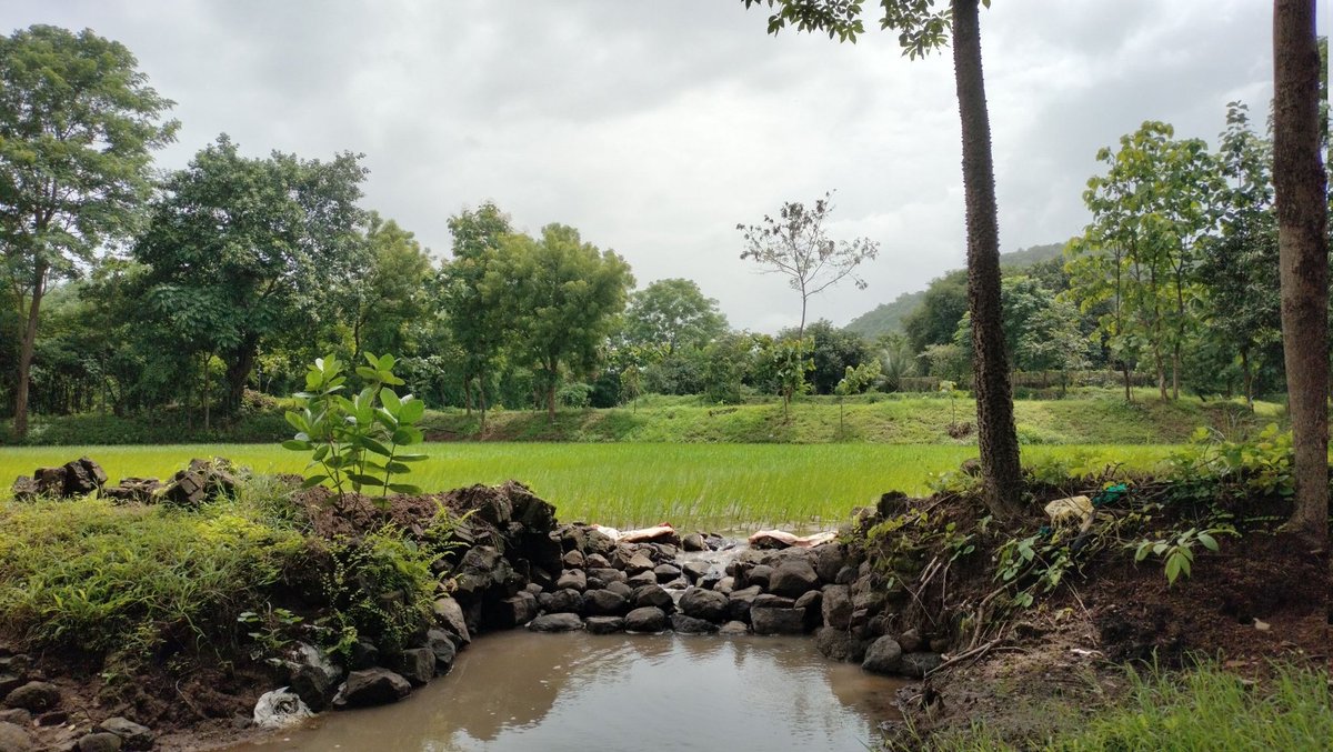 जल,जंगल,जमीन...प्रकृति के सेवक 🏹
#विश्व_आदीवासी_दिवस की हार्दिक शुभकामनाए।