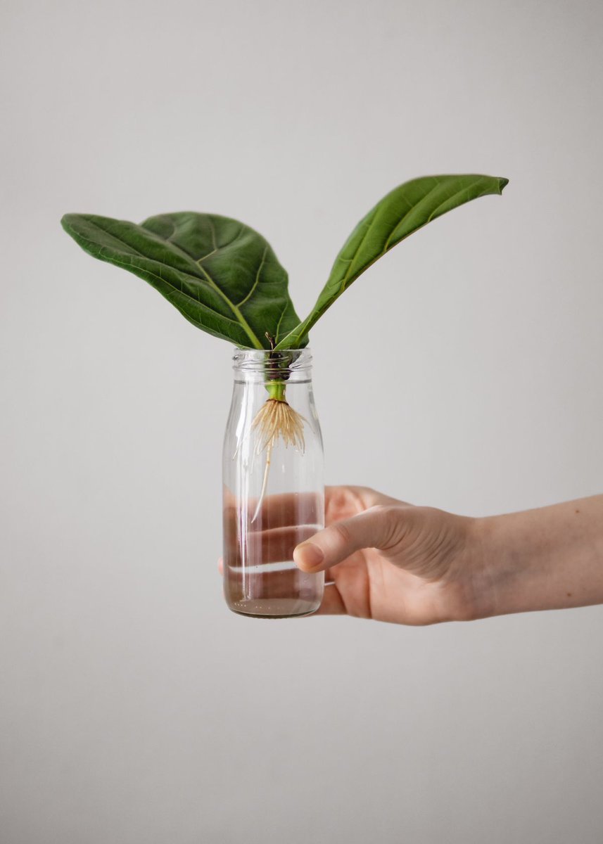 Discover the Top 5 Commercial Self-Watering Planters of 2023
fivestarchoices.com/best-commercia…