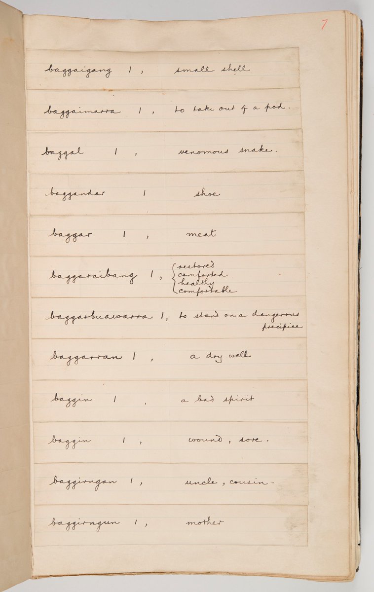 This #IndigenousPeoplesDay, help transcribe vital NSW Aboriginal language material.

We’ve just released a wordlist compiled by Mitchell Librarian Ida Leeson in 1908 on our transcription platform.

Start transcribing via <a href="/_FromThePage_/">FromThePage</a>: ow.ly/SrQU50Pvt9V