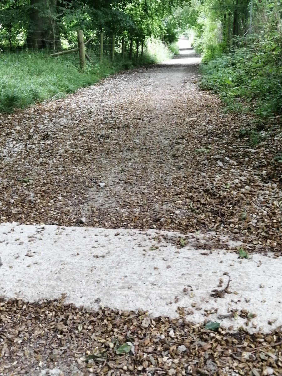 Tim Long tweet media