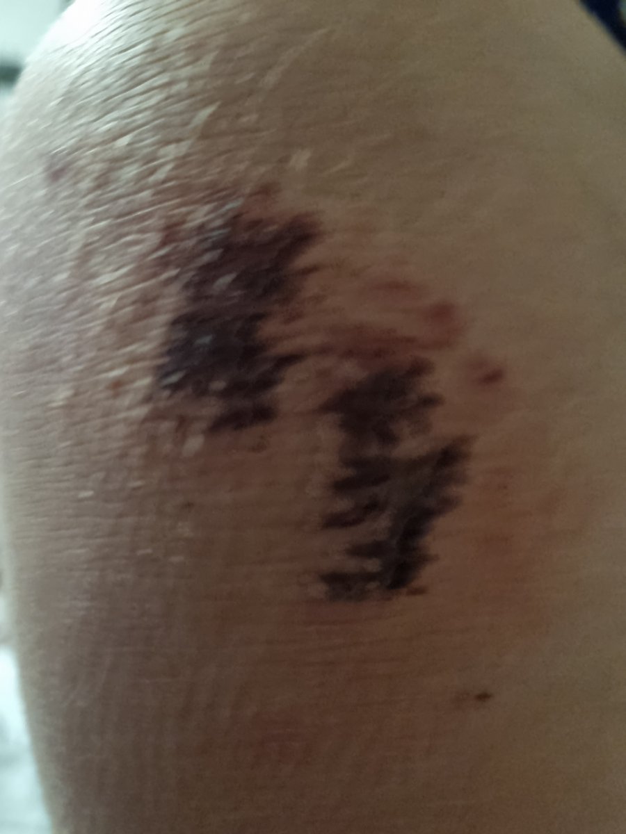 City of the Dead tweet media