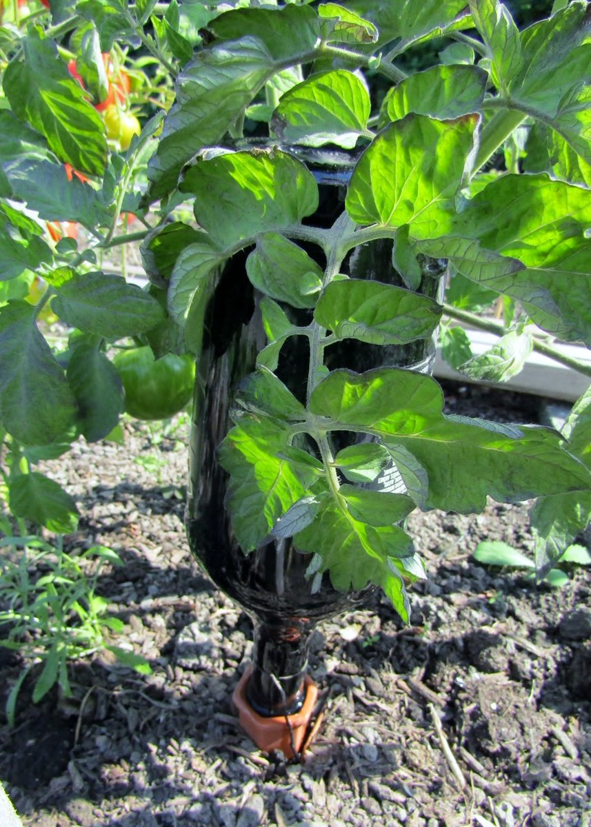 How to Use Self Watering Planters?
fivestarchoices.com/how-to-use-sel…