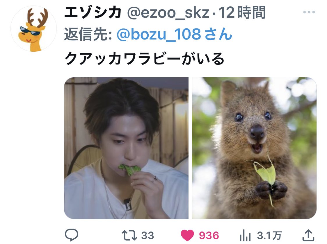 bozu_108's tweet photo. Stray Kids好きな人しか分からないこと選手権

入選 https://t.co/YgIQx2D7lp