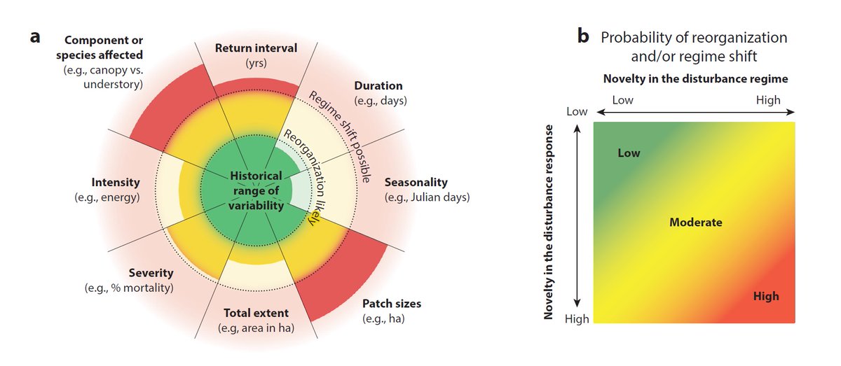 Out now in @AnnualReviews: @MonicaGTurner and my review on novel disturbance regimes and ecological responses. One-sentence summary: Shift happens, and novel outcomes will be determined by the interlinked nature of disturbance and response. annualreviews.org/doi/abs/10.114…