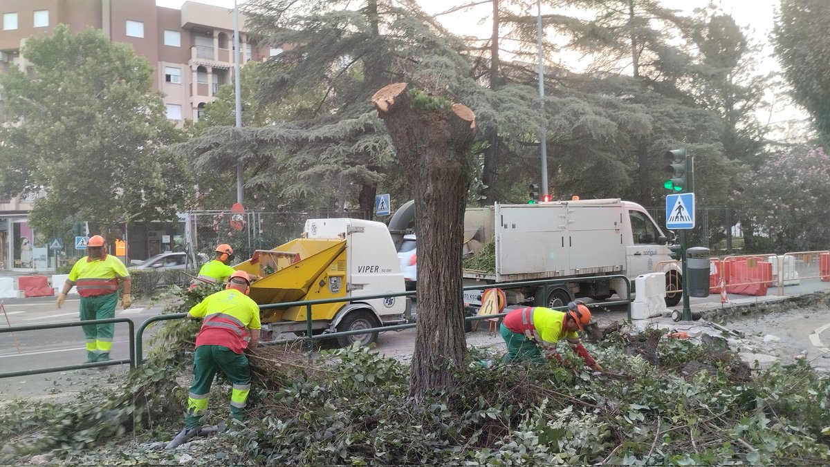 psimoneasp's tweet photo. Prontito en la mañana, para q no haya testigos, con cobardía, #Marifran comenzó a TALAR árboles en #Granada. 😖🌳🪚🪵

Hoy, día en alerta por #OlaDeCalor, el @aytogr apuesta por el ASFALTO e inicia el ARBORICIDIO. 😥

Un proyecto d ciudad SIN FUTURO. 🤦🏻

#ClimateEmergency https://t.co/comg4H7ufe