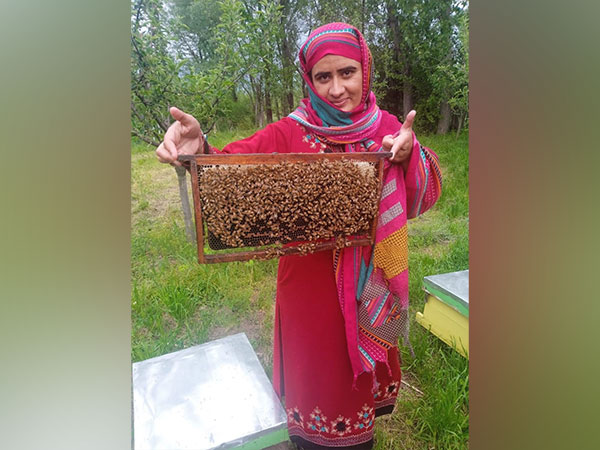 RisingKashmir's tweet photo. Empowering Village Women - #AsiyaJan's Beekeeping Revolution in #Pulwama
https://t.co/UvM0A6TXoG https://t.co/vXopcHkDnd