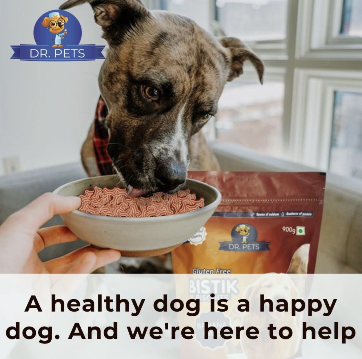 Dr.pets is here to help your dog to provide better and nutritious treats.
#dogs #doggo #love #dog #Drpets #dogfood #diet #pets #doglover #animallover #happydog #healthydog #instadogs #petcare #instadogs