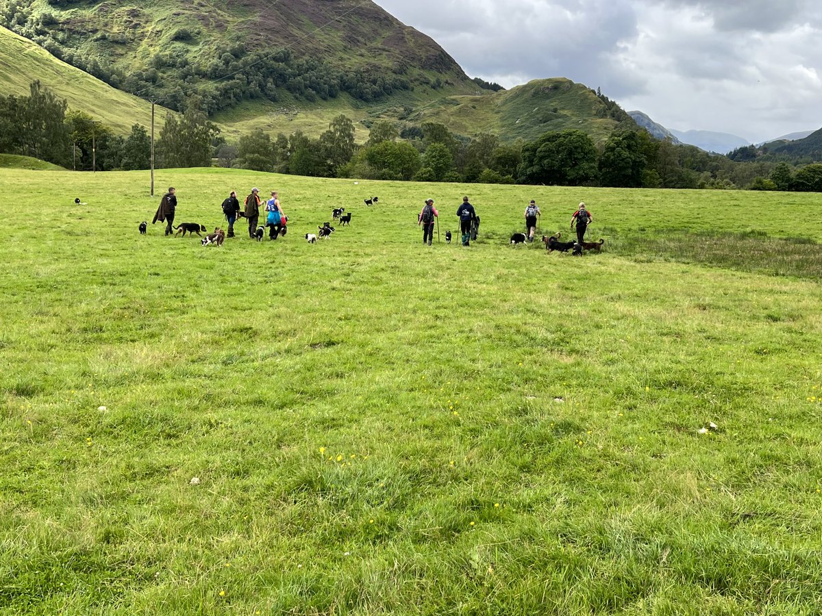 fotheringham07's tweet photo. Day 1 of the hill gather 3,30am start😵‍💫 https://t.co/rf0UNUBonc