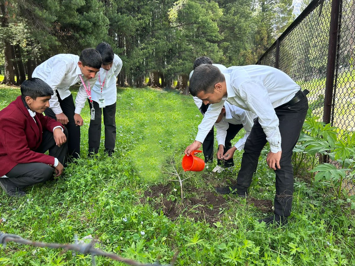Subhash86422622's tweet photo. #GoGreen   #SaveTrees   #Environment #Nature #SaveTreesSaveEarth     #GreenKashmir https://t.co/jzHFdeN4U8
