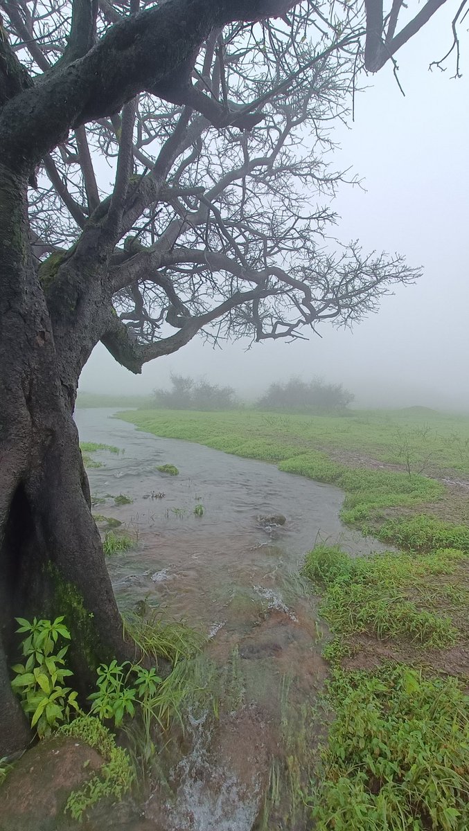 صباح الخير من وادي عين
خليفة الريسي

<a href="/Storms_Oman/">شبكة عواصف عمان</a>