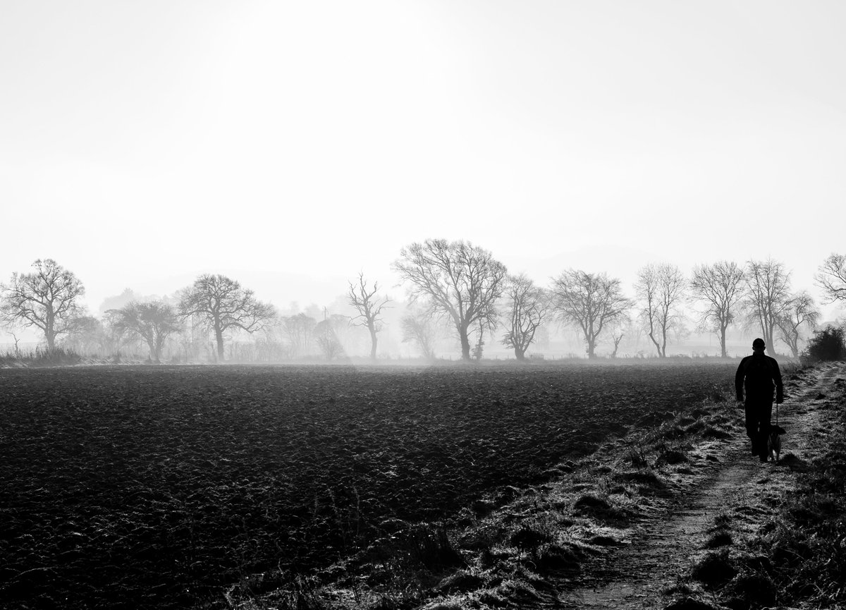 Updated collection:

opensea.io/collection/str…