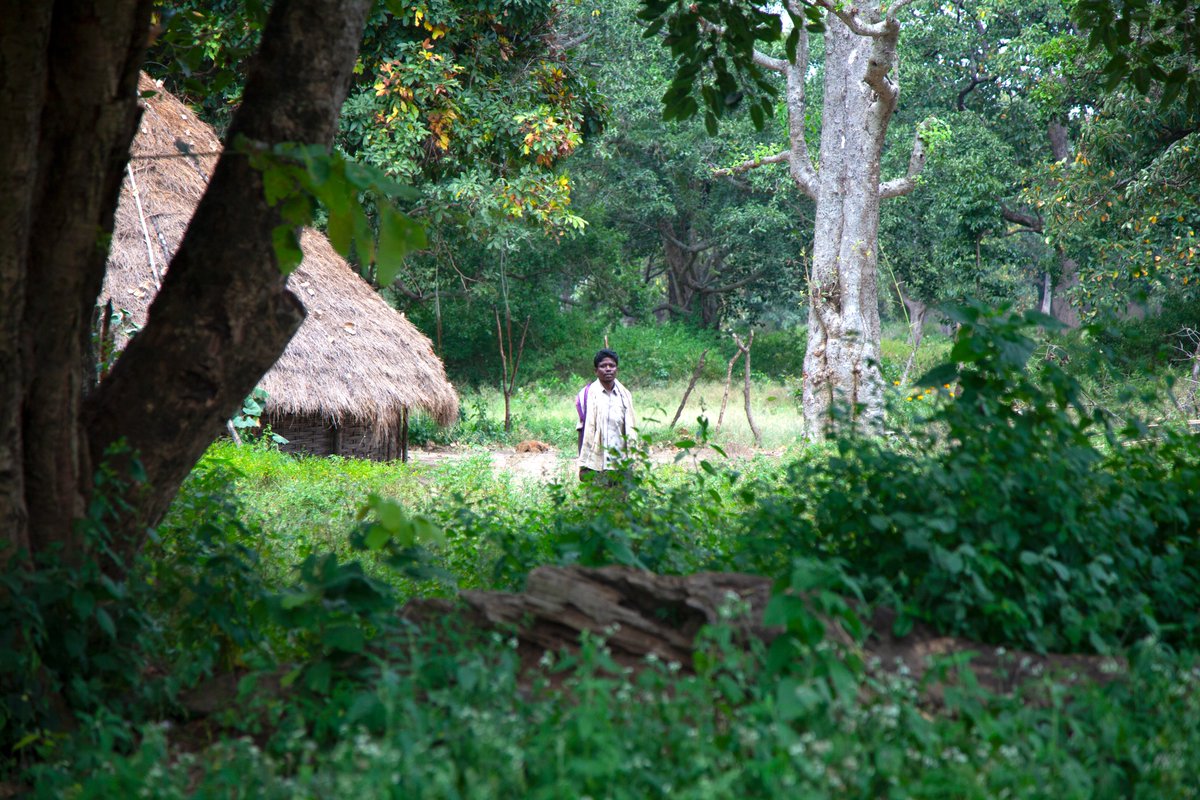 RDT_anantapur's tweet photo. ❓ Did you know? ❓
It's the International Day of Indigenous People today!
➡️ The Chenchus are an indigenous Telugu-speaking community that has been subsisting through food-gathering in the Nallamalla forest.
#DiverseHeritage #EmpowerIndigenous #chenchus #tribals #india https://t.co/Iut9sm7vMy