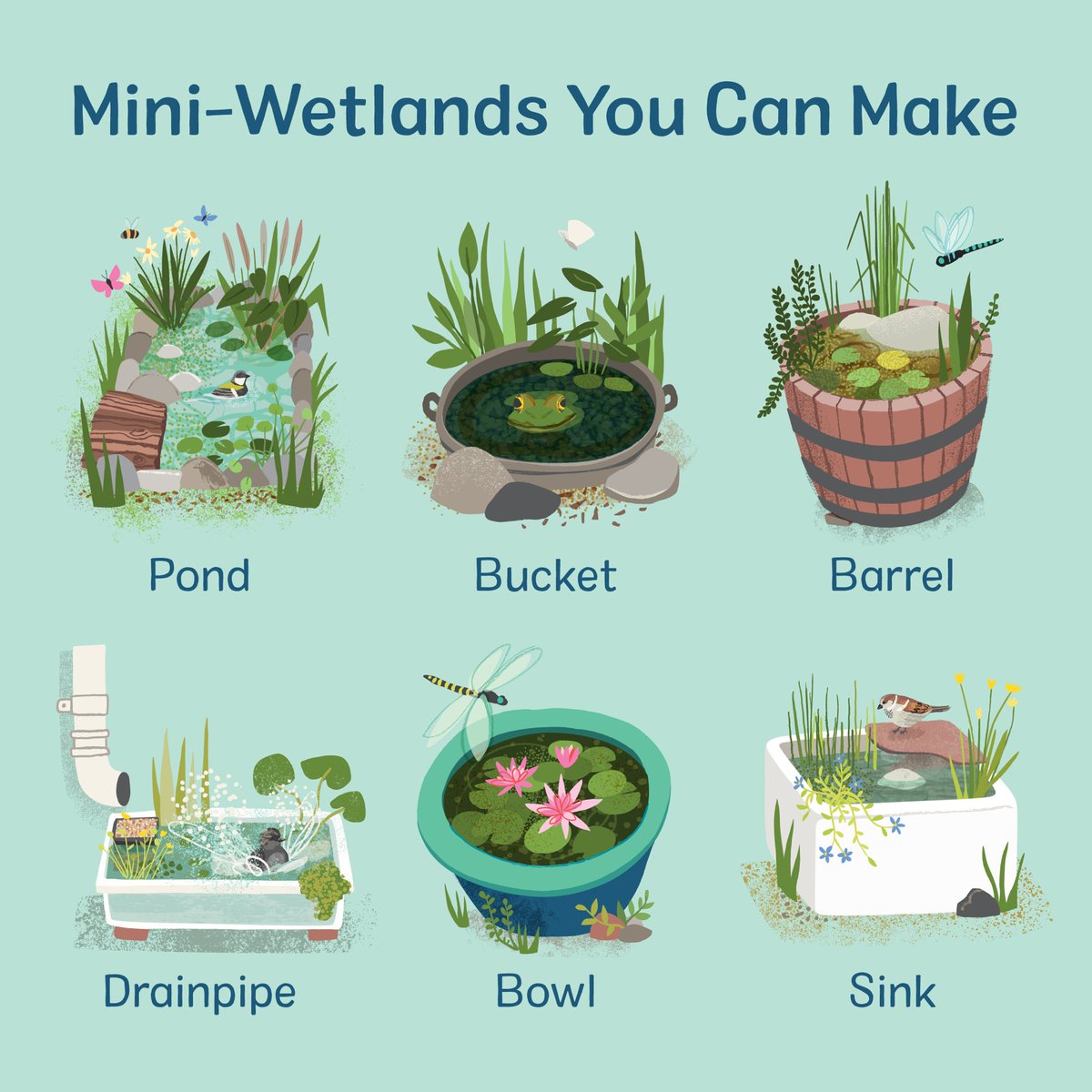 Be a good neighbour to nature! 🐸🦋🦔 Mini-wetlands come in all shapes and sizes, but they all make a BIG difference to local wildlife. Here's how to make your own 👉 ow.ly/imZo50Pv4pL #MiniWetlands #WetlandsCan