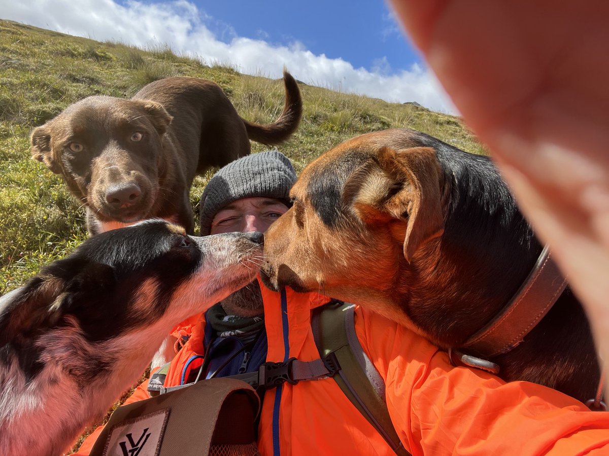 fotheringham07's tweet photo. Successful hill gather 2 days 16 miles covered with a great bunch of people. 
 #sheep365 https://t.co/PzLXywQXOm