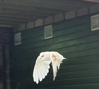 Fiona Hyslop tweet media