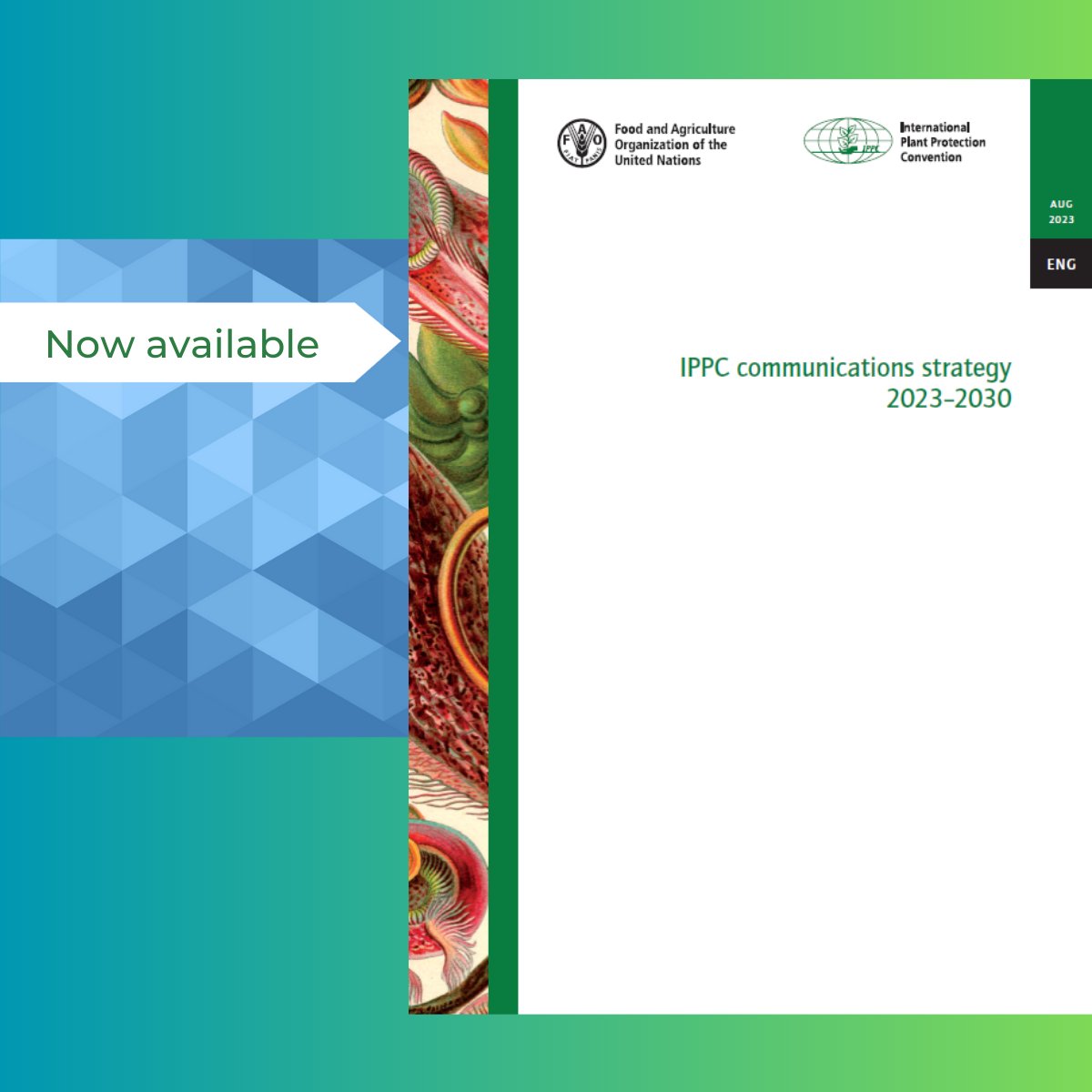 📌Without communication, there can be no collaboration. 

🆕The IPPC communications strategy 2023-2030 is now available to guide the #planthealth🌱community to:

✅effectively inform
✅ advocate 
✅engage to protect plant health in the🌍.

Download it here fao.org/publications/c…