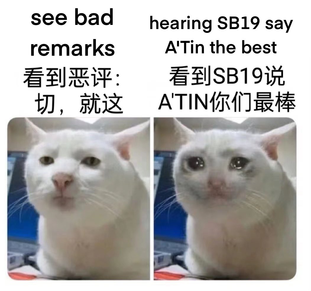 一张在SB19中文社区内流传的meme。My mood is just like the one depicted in the meme #SB19  #SB19WinsBBFanArmy23