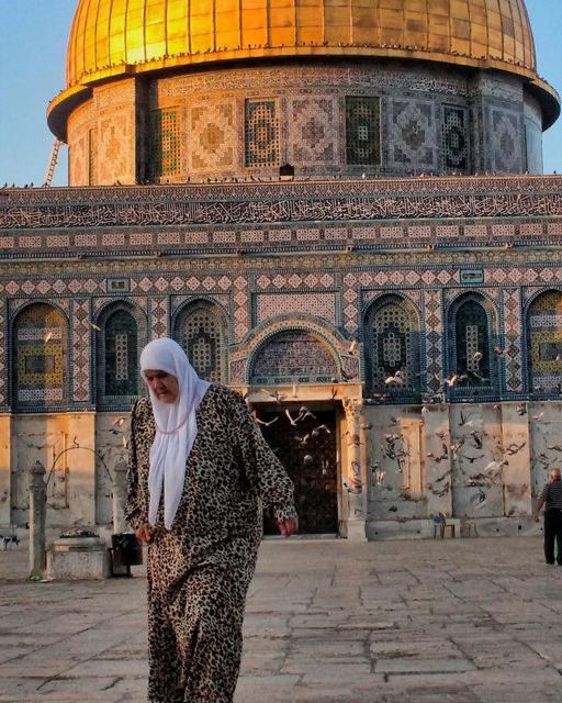MuhammadSmiry's tweet photo. Palestine will be free https://t.co/bGT5nJJigO