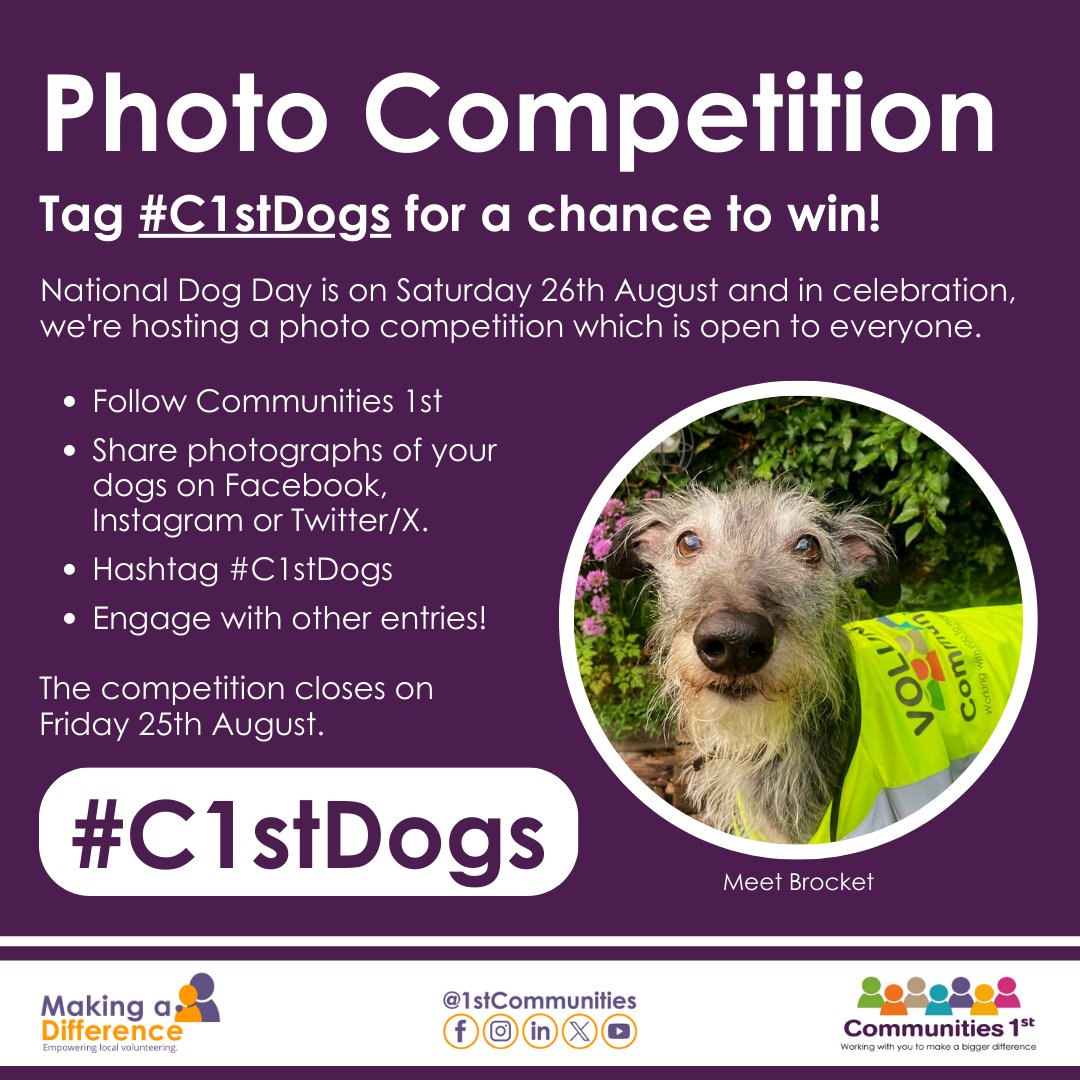 1stCommunities's tweet photo. It's #InternationalAssistanceDogsWeek Have you got a canine companion who works for you, volunteers alongside you, or just looks after you? 

Share a pic of your pooch in action and hashtag #C1stDogs 🐶  

Remember to follow Communities1st for a chance to win a treat! #photocomp https://t.co/fdpShv1tfb