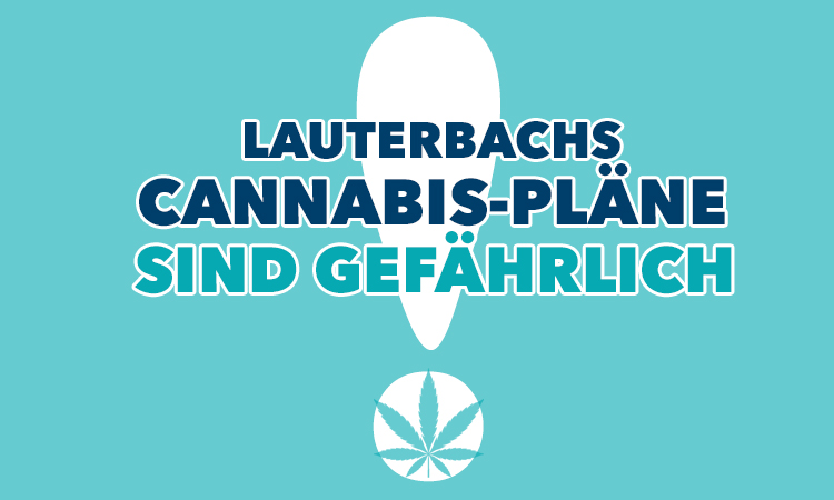Die #Cannabis-Pläne von #Lauterbach sind gefährlich für Kinder &amp; Jugendliche. Konsum der Droge hat schwere Folgen für das junge Gehirn. Es ist naiv zu glauben, der Schwarzmarkt werde damit austrocknen. Unklar auch, wie Prävention finanziert werden soll.
mario-czaja.de/2023/08/lauter…