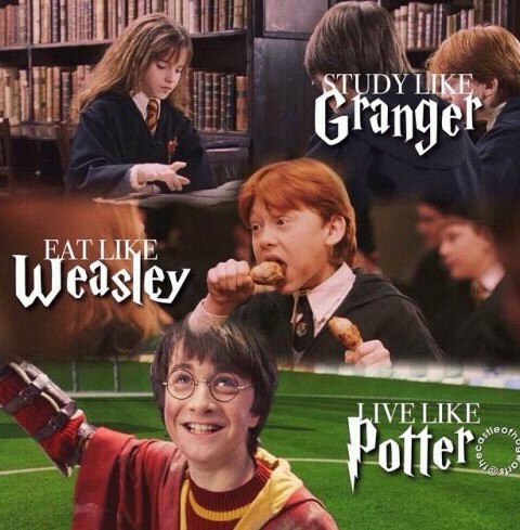 Harry Potter World tweet media